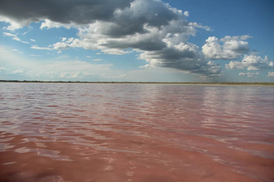 Розовое озеро Бурлинское - удивительная лечебная и соленая жемчужина Алтая