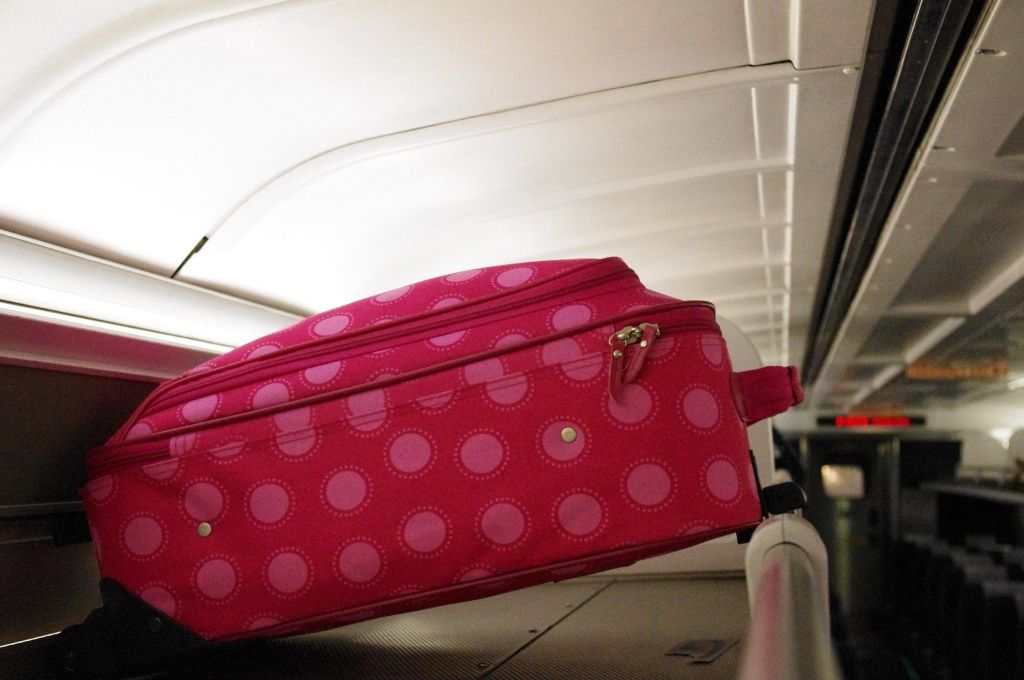Что нельзя провозить в поездах в багаже и ручной клади