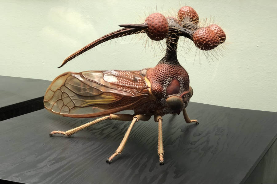 ✈ Самые неприятные и страшные насекомые в мире, где они водятся, их фото