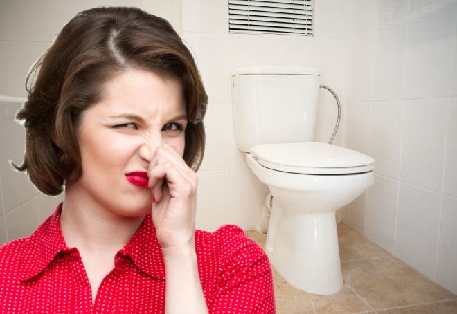 Как устранить неприятный запах в туалете: трюк от стюардесс
