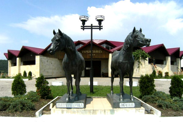 Терский конный завод