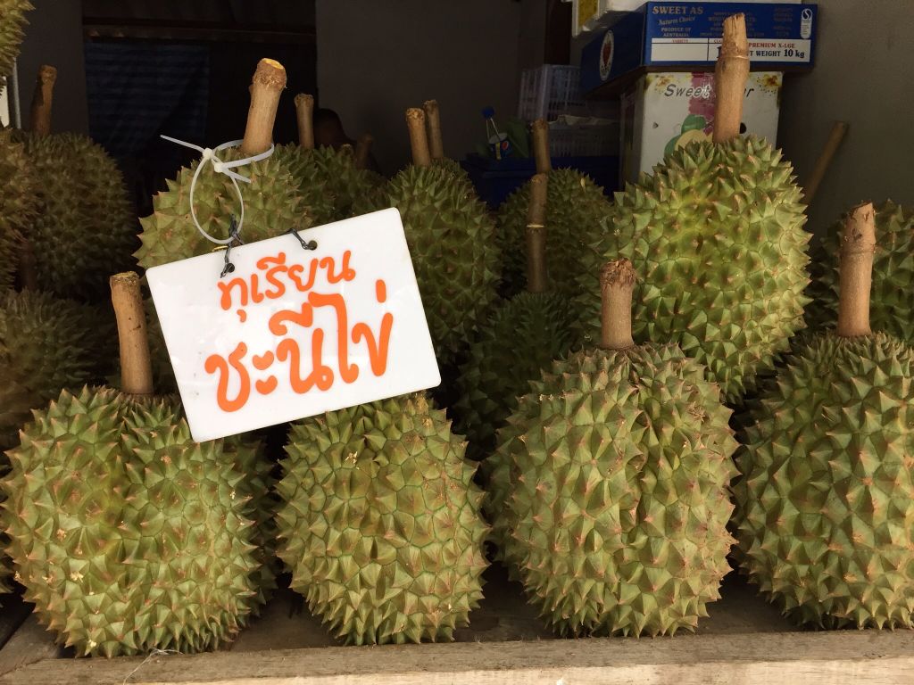 запрещенный фрукт. дуриан фрукт. таиландский фрукт дуриан. дуриан фрукт. джем дуриан.