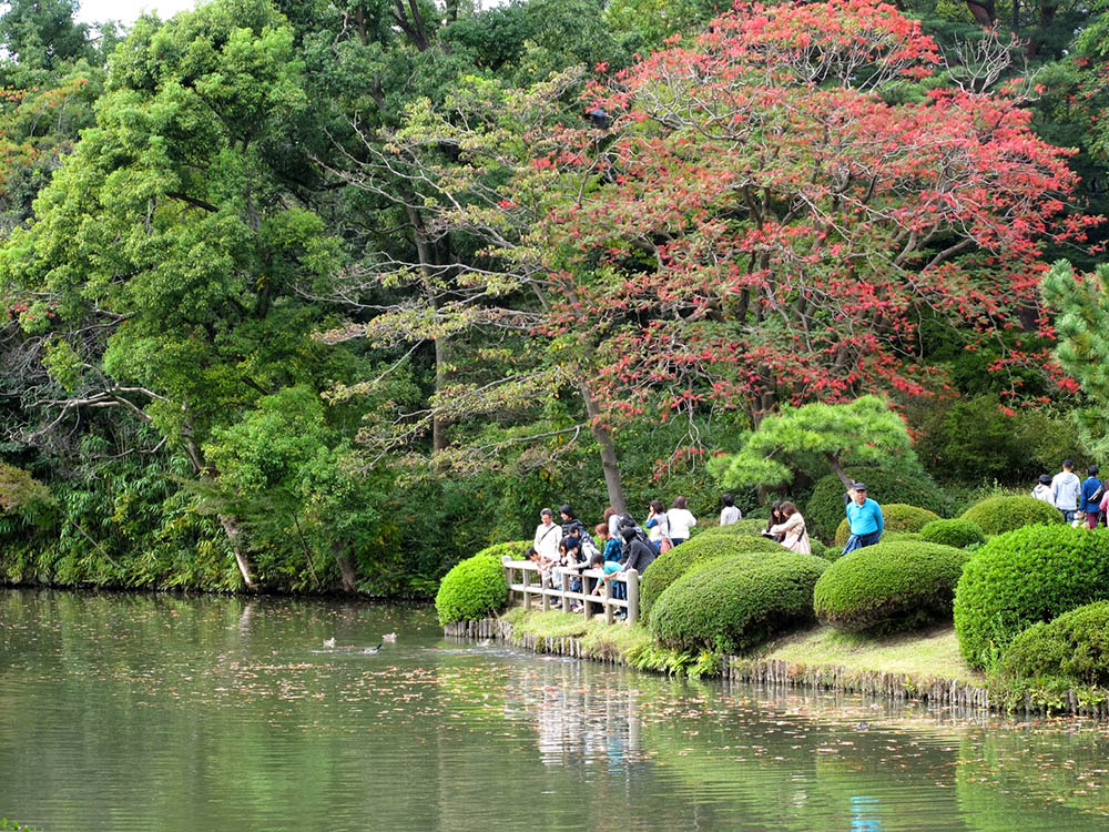 Сад рикугиэн токио. Сады будут работать. Сады будут работать. Сады будут работать. Сады будут работать.