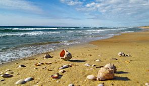 Авиакомпания «Якутия» возобновляет рейс Якутск —  Анапа с посадкой в городе Омск