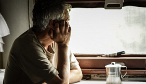 Опрос. Как вы считаете, приживутся ли такие вагоны в России?