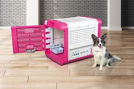 Авиакомпания Delta Air Lines разработала новые контейнеры для перевозки животных