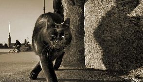 Приметы и суеверия, которые подействовали на политику авиакомпаний