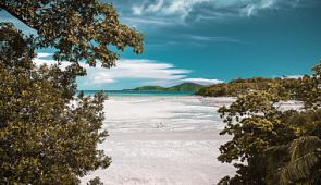 Виза в Шри-Ланку станет бесплатной для туристов из более чем 30 стран