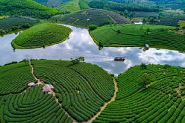 «Мы и есть вирус!» Как жители планеты шутят о восстановлении природы после карантина