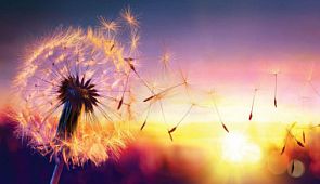 День Солнца 2020: что это за праздник, как его отмечают, приметы и традиции