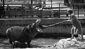 Путешествие в прошлое: 20 атмосферных фотографий с историей