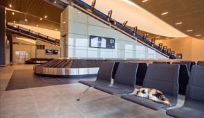 Аэропорт Платов – топ-5 неприятных вещей