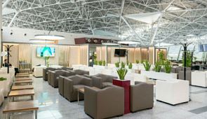 В VIP-залы российских аэропортов могут вернуть отдельный паспортный контроль