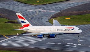 Пассажир British Airways назвал свой обед «едой для собак»