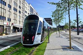 Люксембург стал первой страной с бесплатным проездом в общественном транспорте