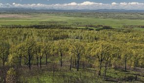 Дом аистов и цветущих лотосов: Хинганский заповедник в Амурской области