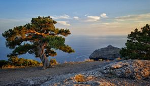 Как отдохнуть в Крыму недорого: расчёт 7-дневного отдыха на троих