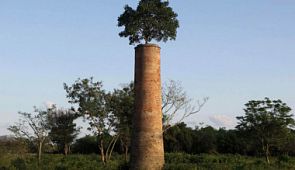 25 фото, которые доказывают, что природа главнее цивилизации