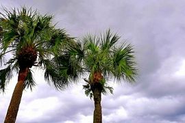 Сезон дождей в Азии. Что делать, если отпуск приходится на период тропических ливней?