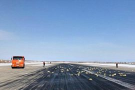 В Якутии из самолета вывалилось 9 тонн слитков золота