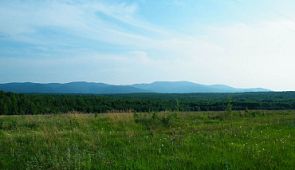 Всё богатство Уссурийской тайги в одном месте: Большехехцирский заповедник