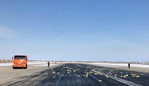 В Якутии из самолета вывалилось 9 тонн слитков золота