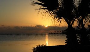 В Египет вернут чартерные рейсы