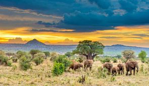 Чартеры в Танзанию. Расписание чартеров Москва — Танзания на 2019 год