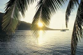 Авиакомпания «Нордавиа» запускает новый рейс из Челябинска в Сочи