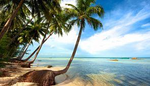 Чартеры на Фукуок. Расписание чартеров Москва — Фукуок на 2019 год