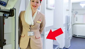 Что прячут стюардессы за спиной при посадке пассажиров в самолет