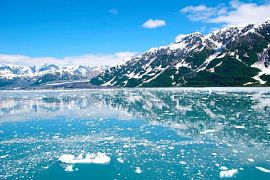 Google разработал виртуальное путешествие по самому холодному парку на Аляске