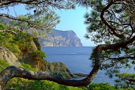 Субсидированные авиабилеты в Крым. Что изменилось в 2020 году