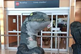 В аэропорту Канады «встретились» динозавры