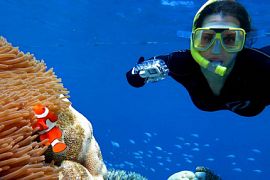 Топ-10 лучших мест для дайвинга и сноркелинга в 2020 году