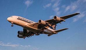 Пассажир Singapore Airlines нашел зуб в своем бортовом питании