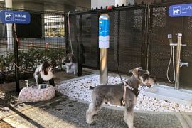 Зона отдыха для собак впервые появится в аэропорту Осаки
