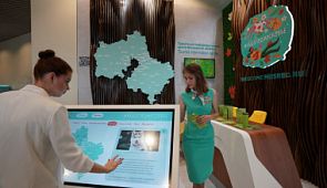 Информационный центр для туристов появился в Домодедово