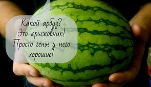 Пять смешных анекдотов о ситуациях в поезде, знакомых каждому