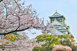 Власти Японии намерены оплачивать приезжим туристам часть расходов на путешествия