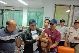 В аэропорту Денпасар задержали российского туриста с орангутаном в чемодане