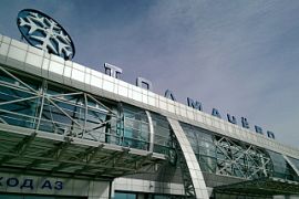 В аэропорт Толмачёво снова можно добраться на автобусе